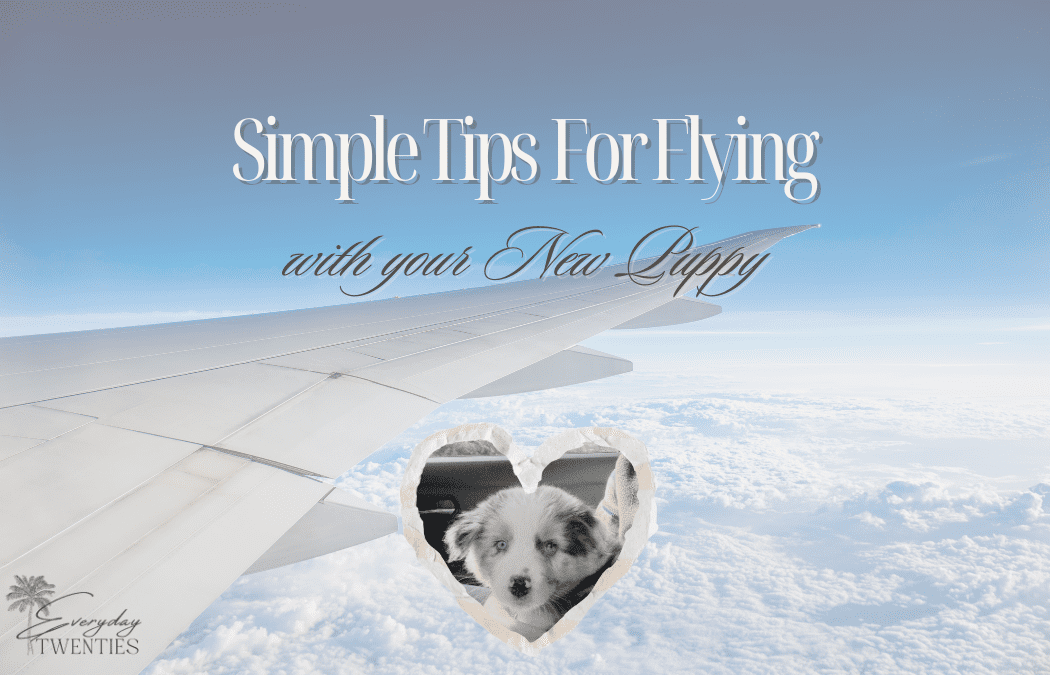 Jet-Set Puppy: Airplane Tips for Flying with Your New Puppy
